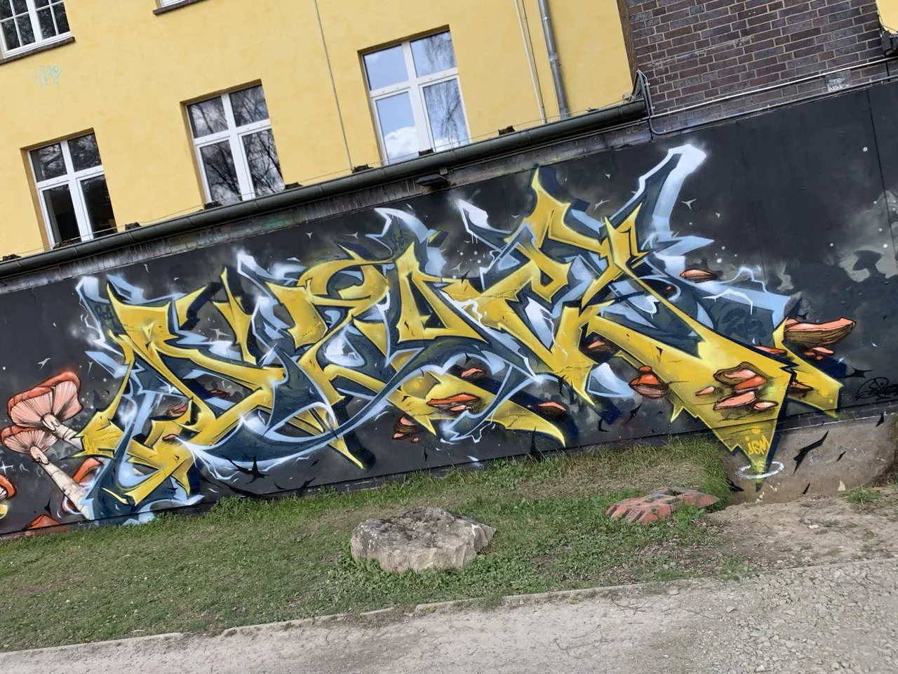 photo 2026 04 01 13 31 30 5