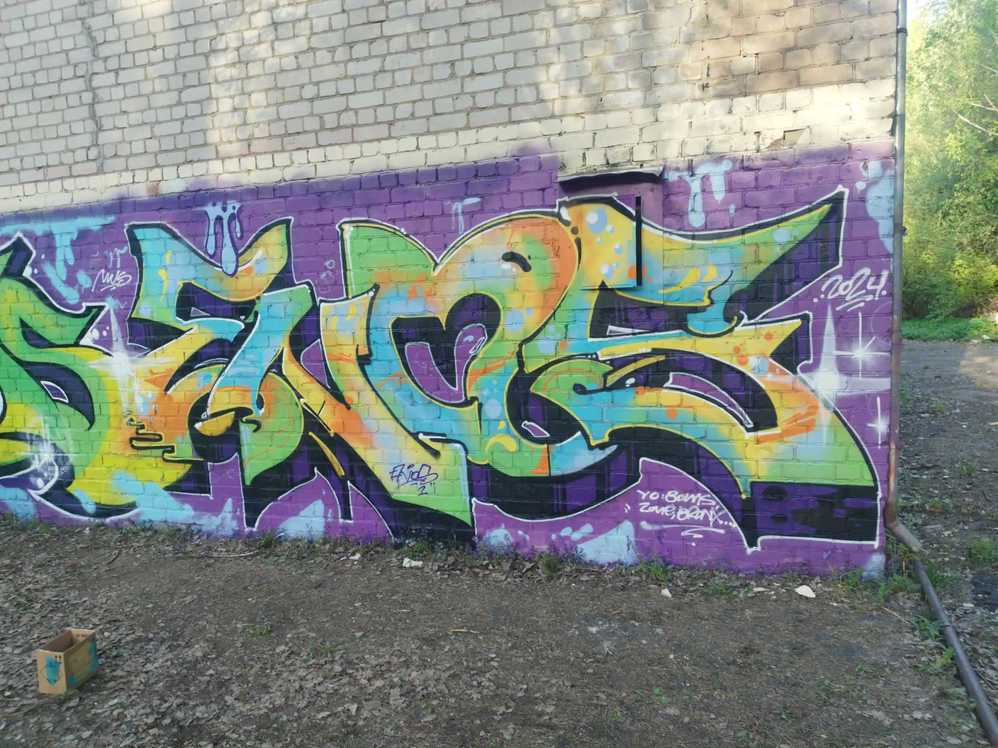 IMG 0018