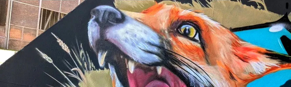 User banner image