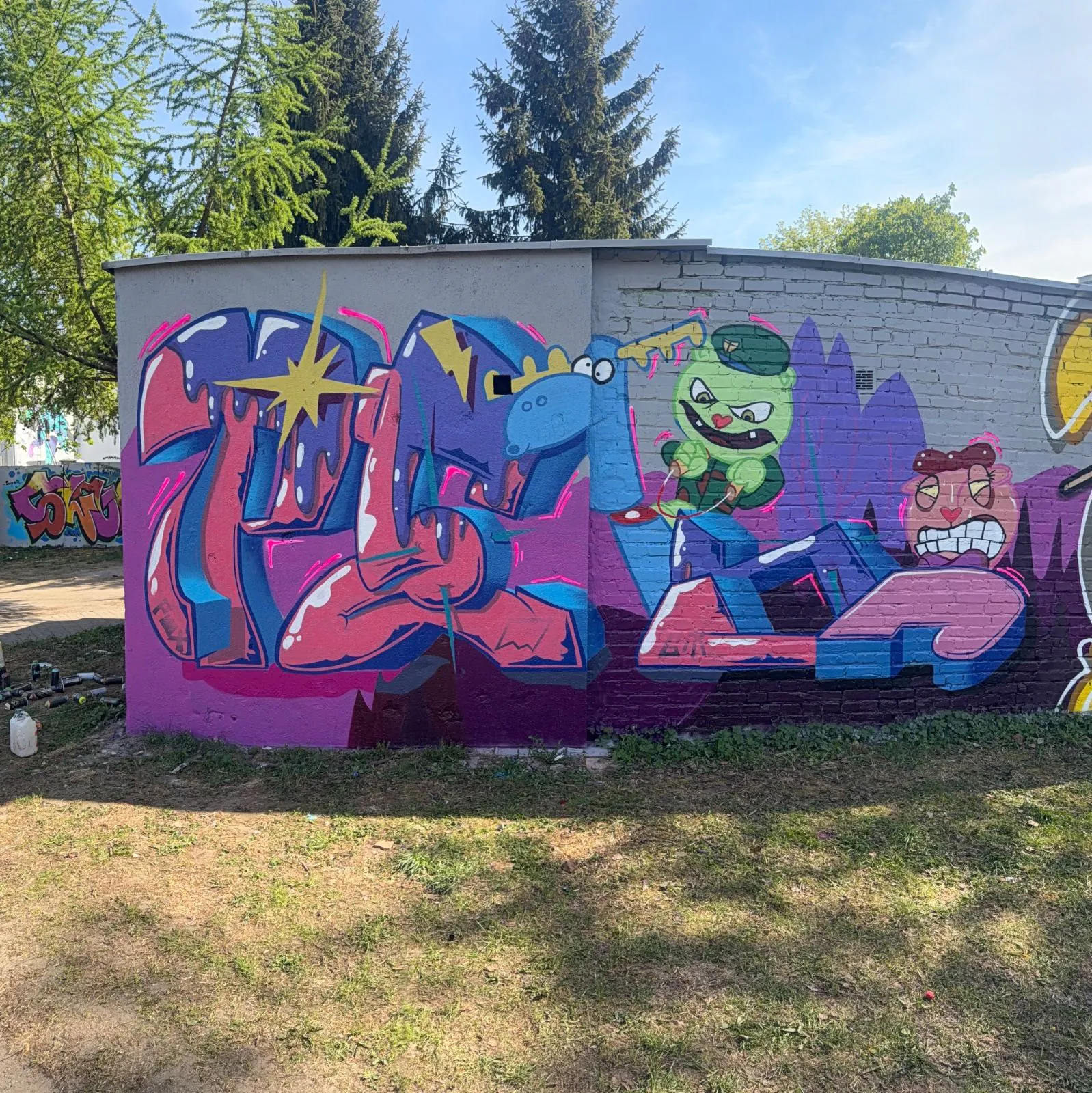 IMG 3004