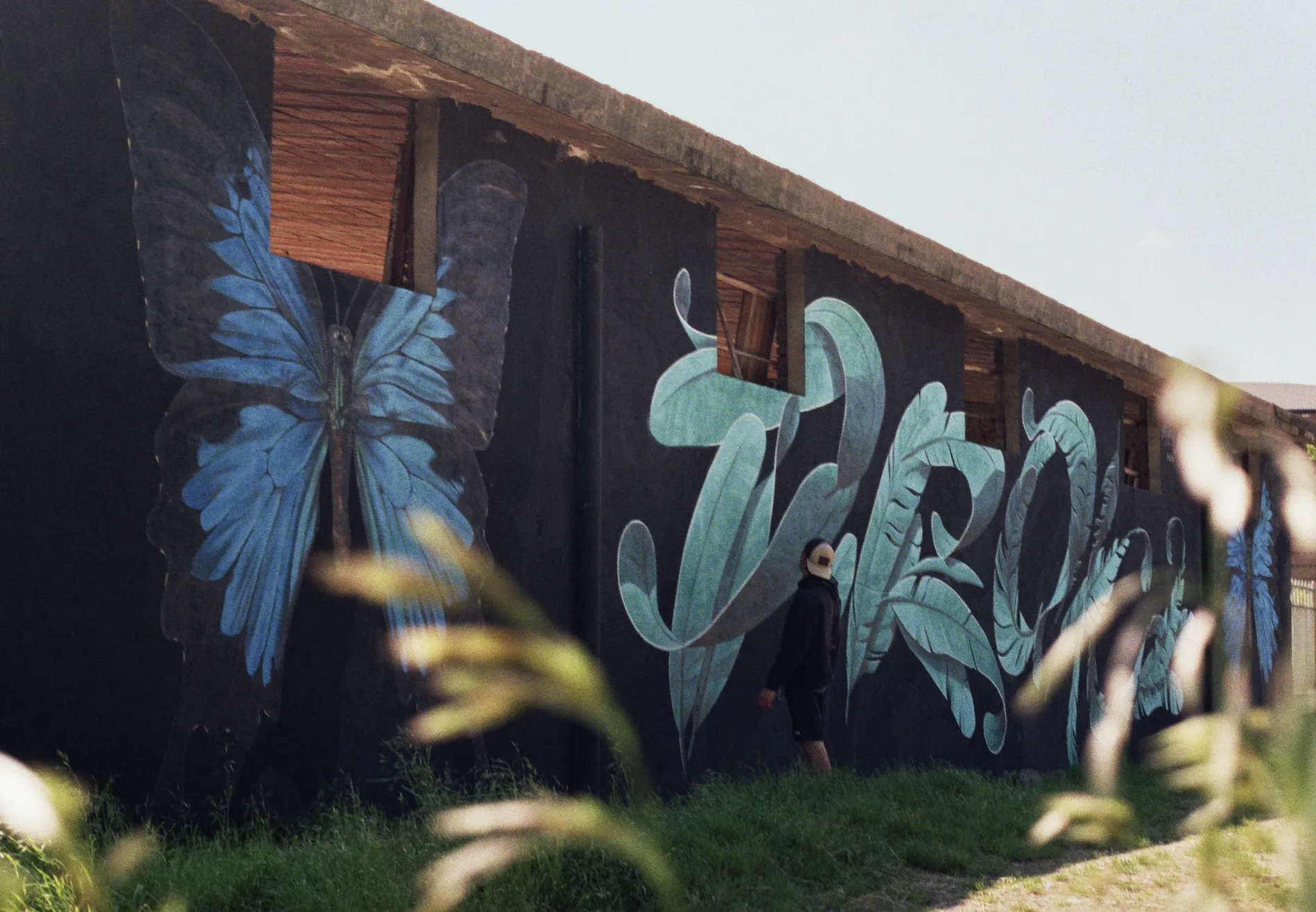 IMG 3382 - Meeting of Styles: International Street Art & Graffiti