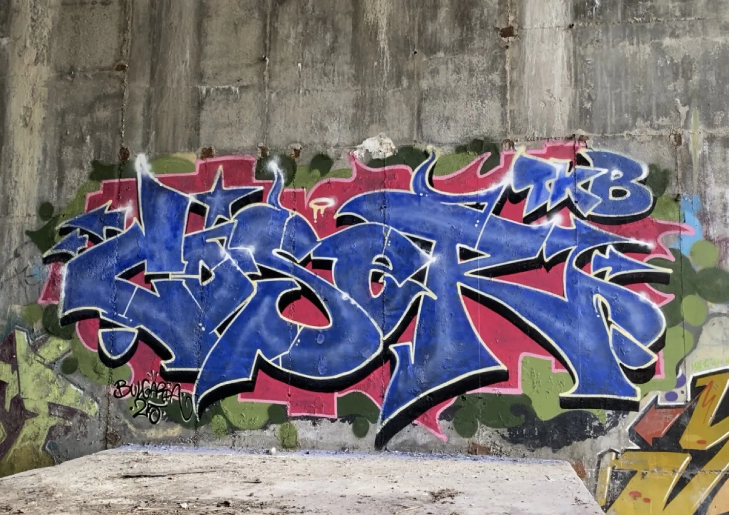 IMG 3665