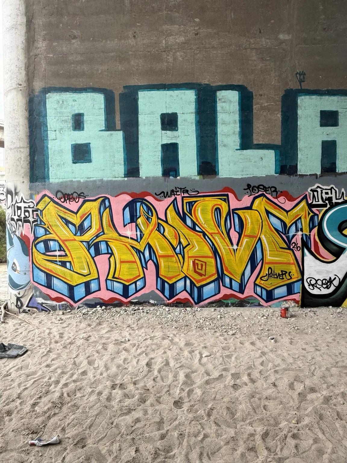 IMG 7319