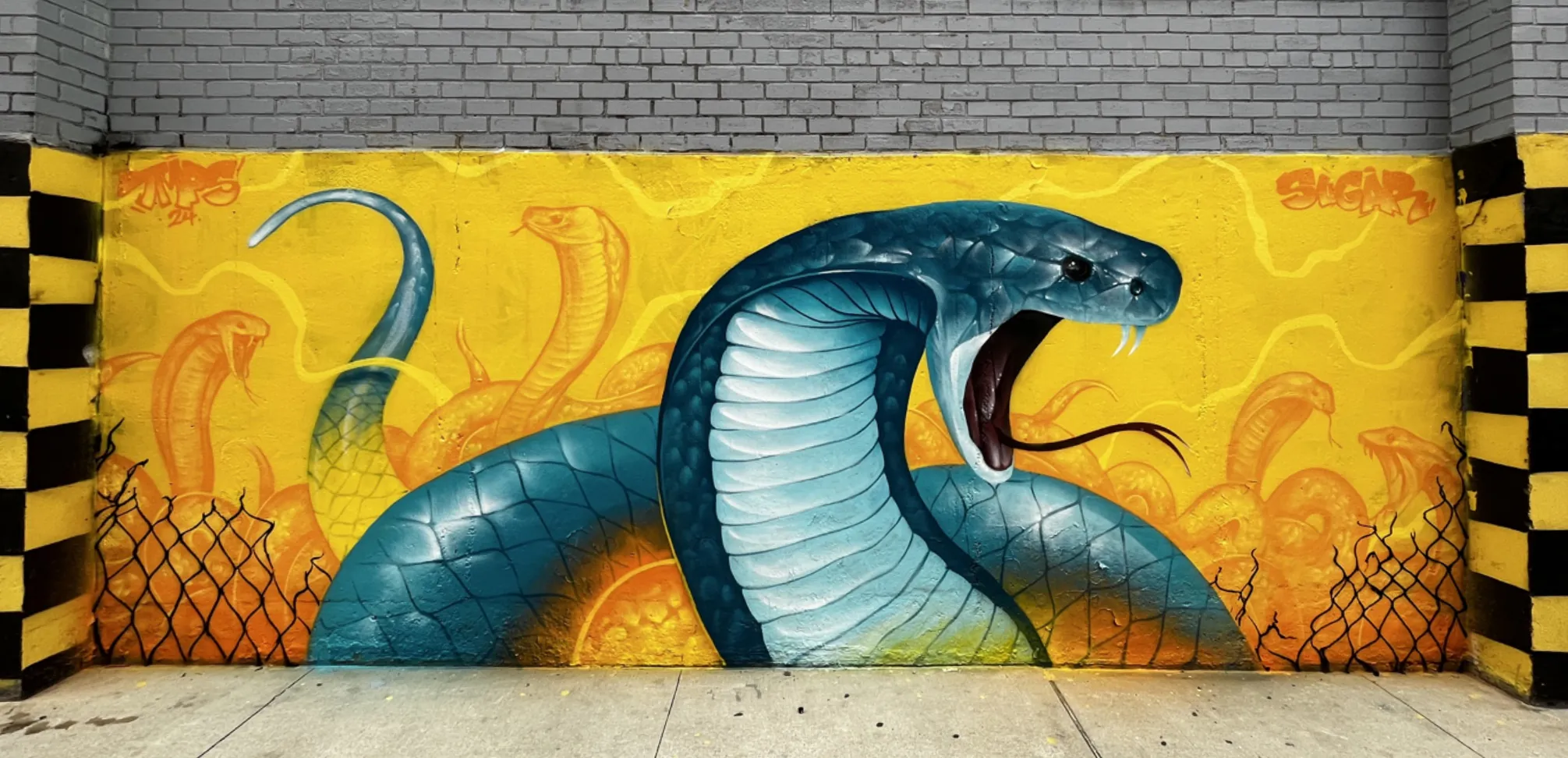 IMG 7645 - Meeting of Styles: International Street Art & Graffiti
