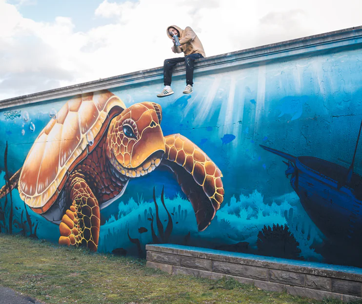 photo Topaz fresque tortue