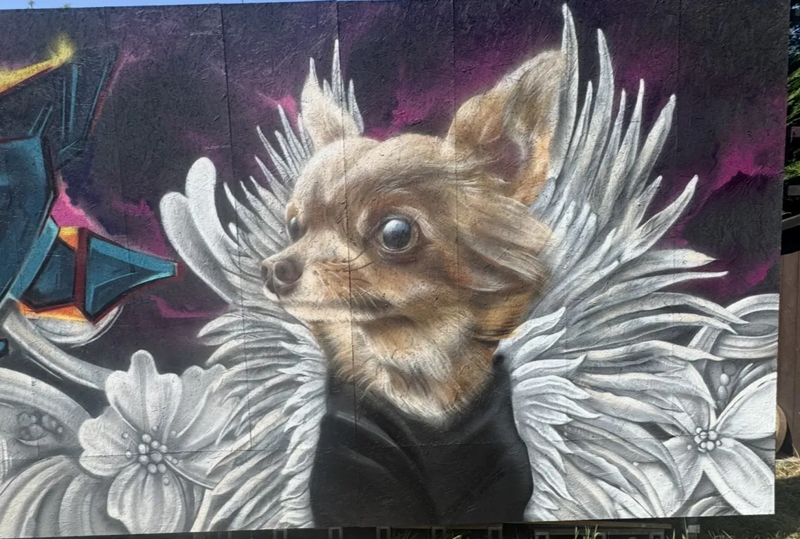 IMG 7004 - Meeting of Styles: International Street Art & Graffiti