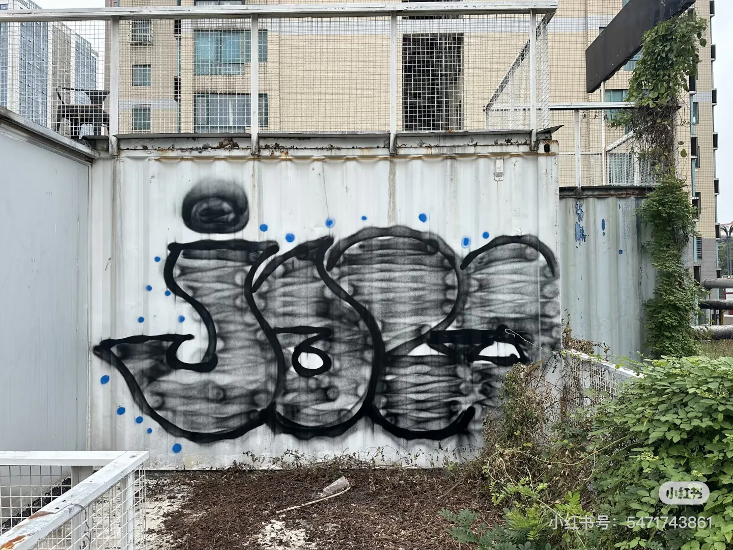 IMG 7463