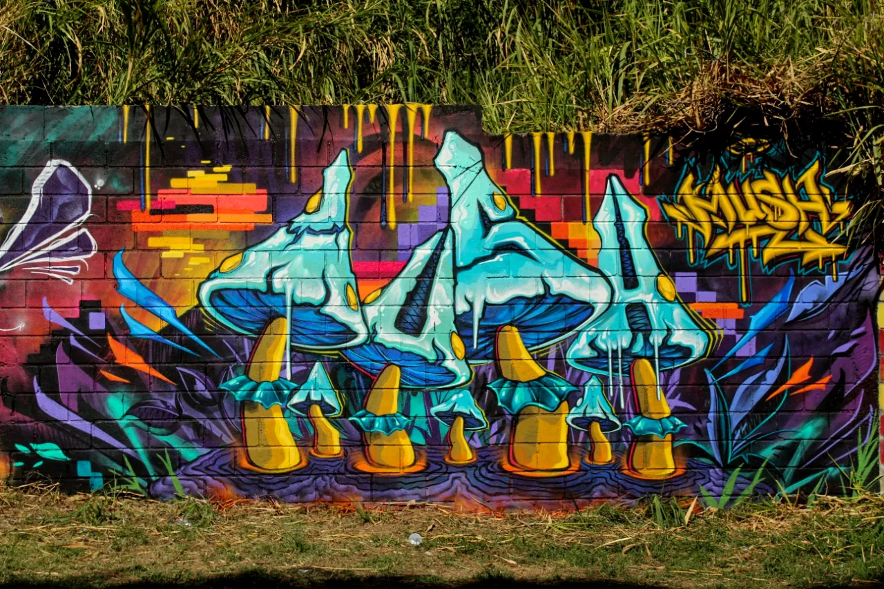Mush Heredia CR