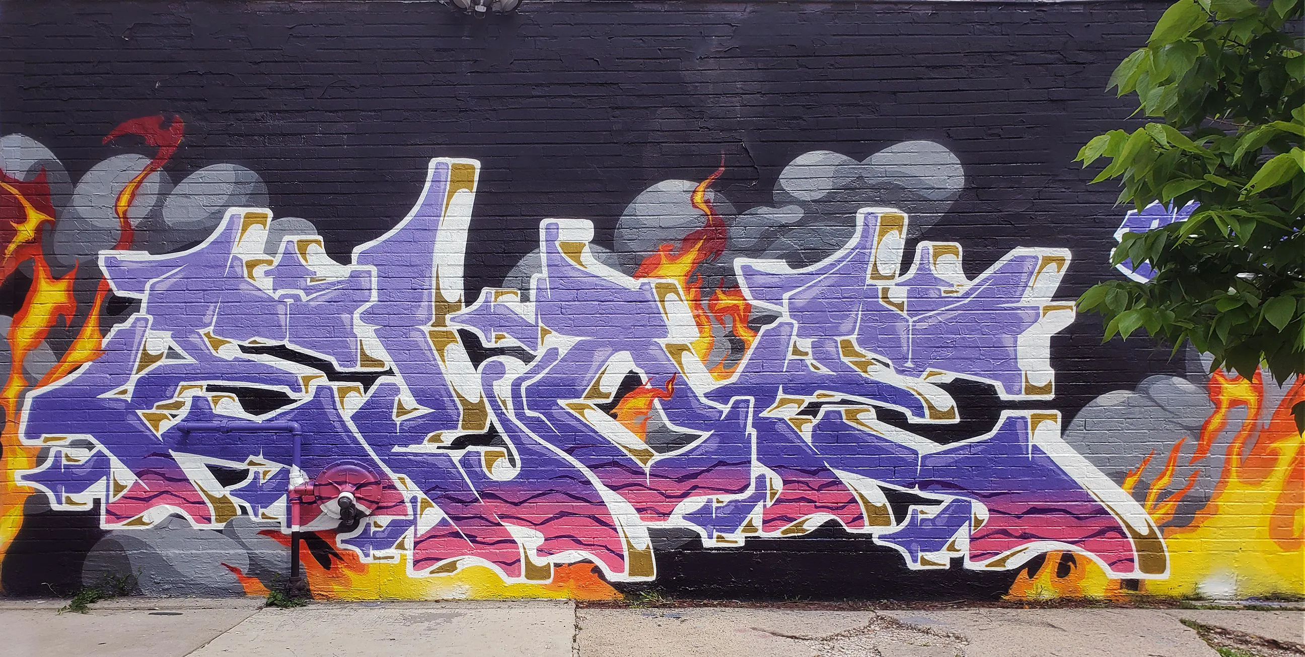 Eloe purp Spring 24  sm LR