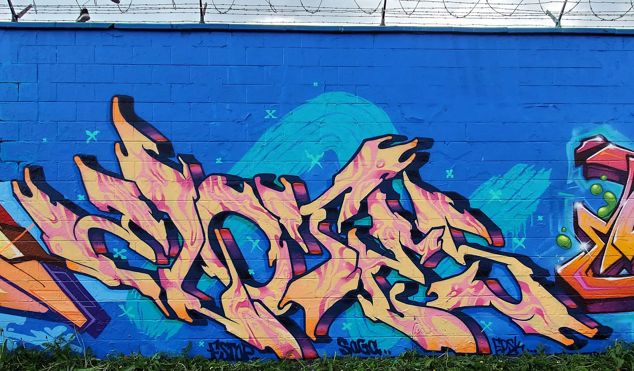 Elotes peach flames 22 sm LR