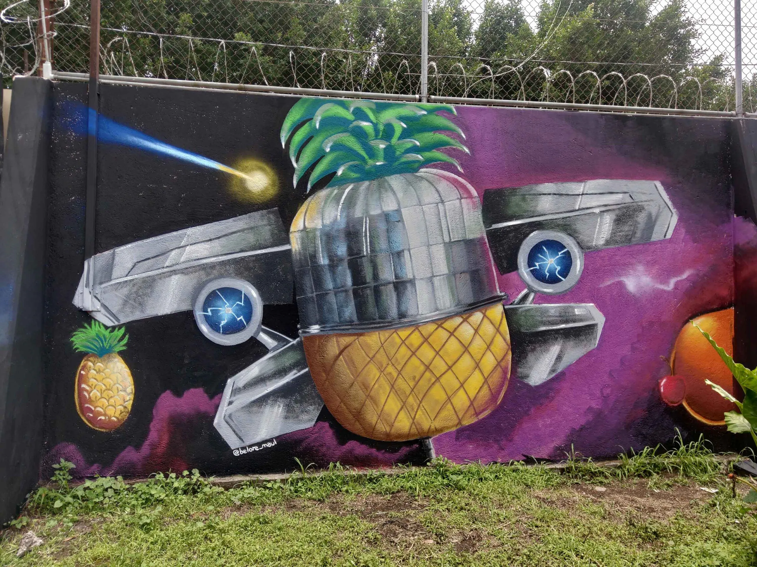 Pina 1 scaled - Meeting of Styles: International Street Art & Graffiti