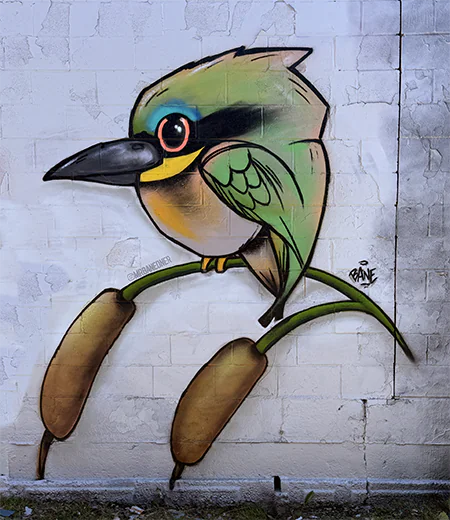 Bane Cwb 2 - Meeting of Styles: International Street Art & Graffiti bird MOS
