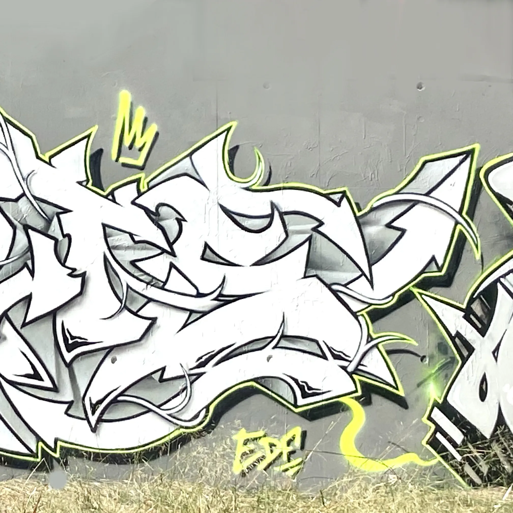 IMG 3176 - Meeting of Styles: International Street Art & Graffiti