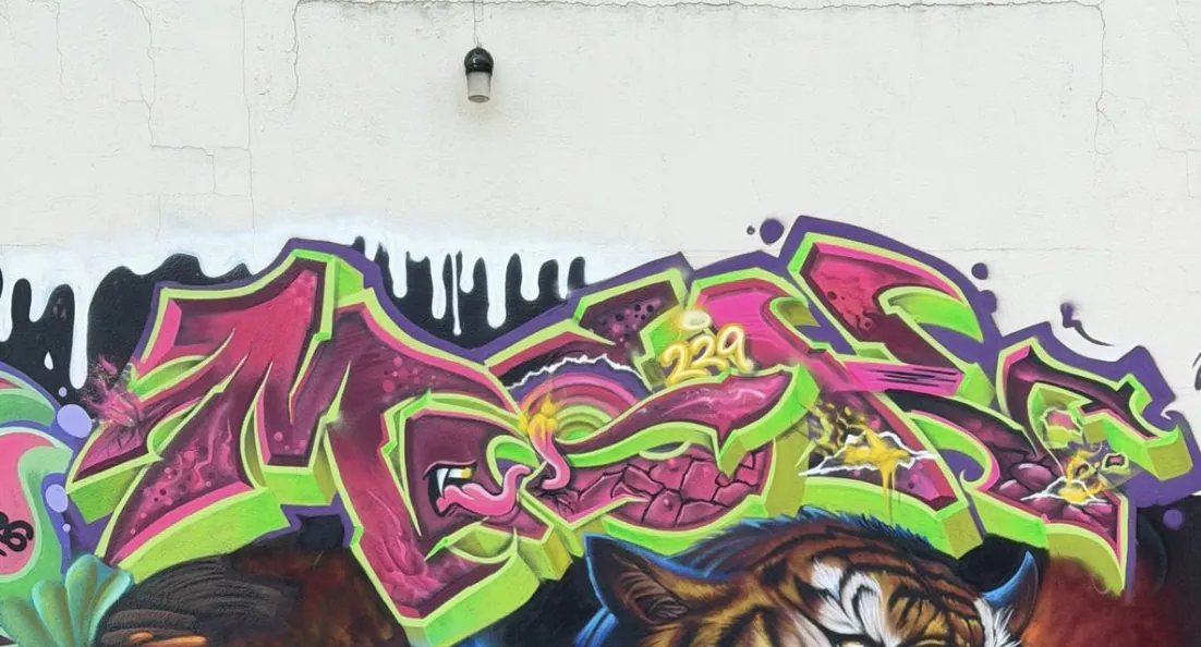 IMG 7689
