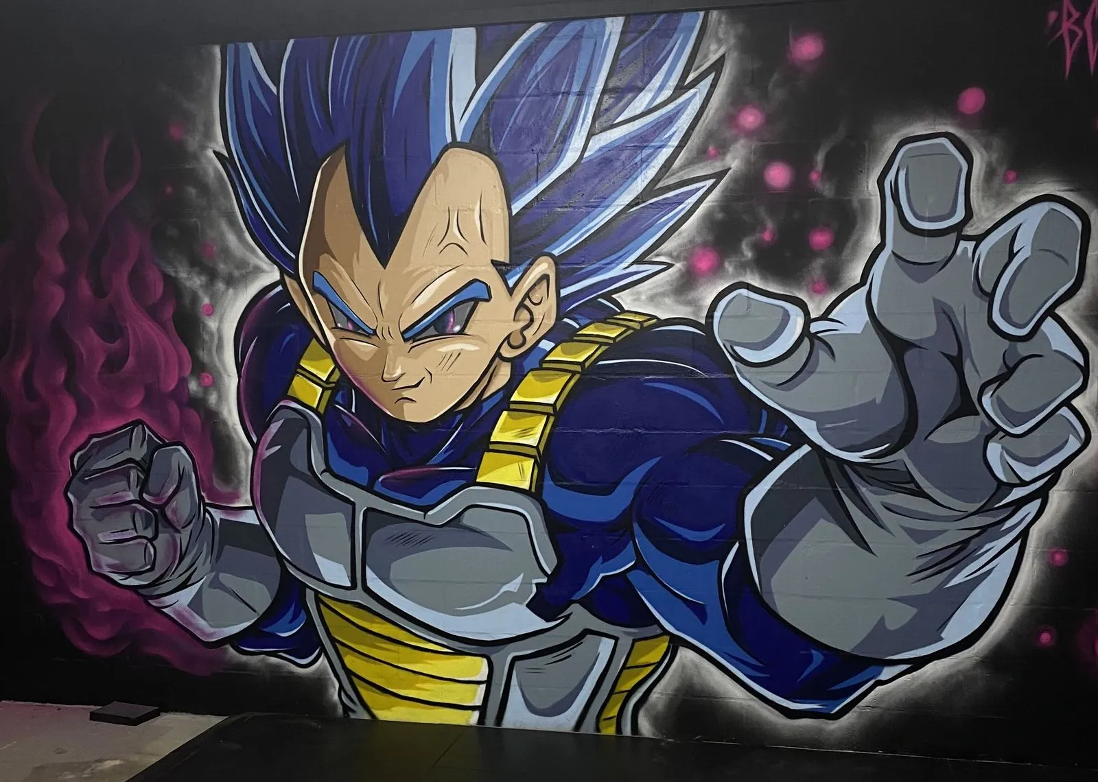 Vegata argo optimized 1000